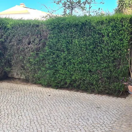 Dom wakacyjny Casa Riomara *